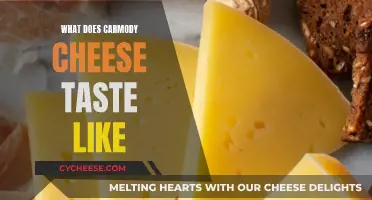 Carmody Cheese: A Taste of Creamy, Nutty Deliciousness