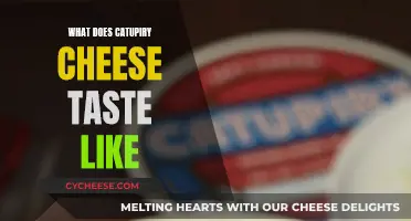 Catupiry Cheese: A Taste of Brazil's Creamy, Mild Delight