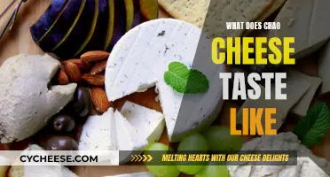 Chao Cheese: A Unique Taste Experience