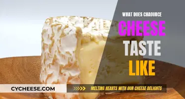 The Taste of Chaource Cheese: A Creamy, Earthy Delight