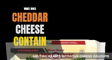 The Cheddar Cheese Composition: Ingredients and Nutritional Facts