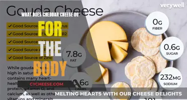 Unraveling Cheddar's Nutritional Secrets: A Healthy Indulgence