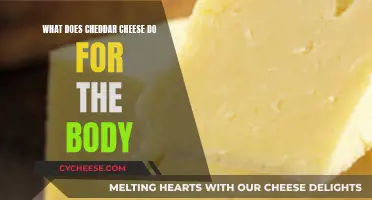 Cheddar Cheese: Benefits and Impacts on the Human Body