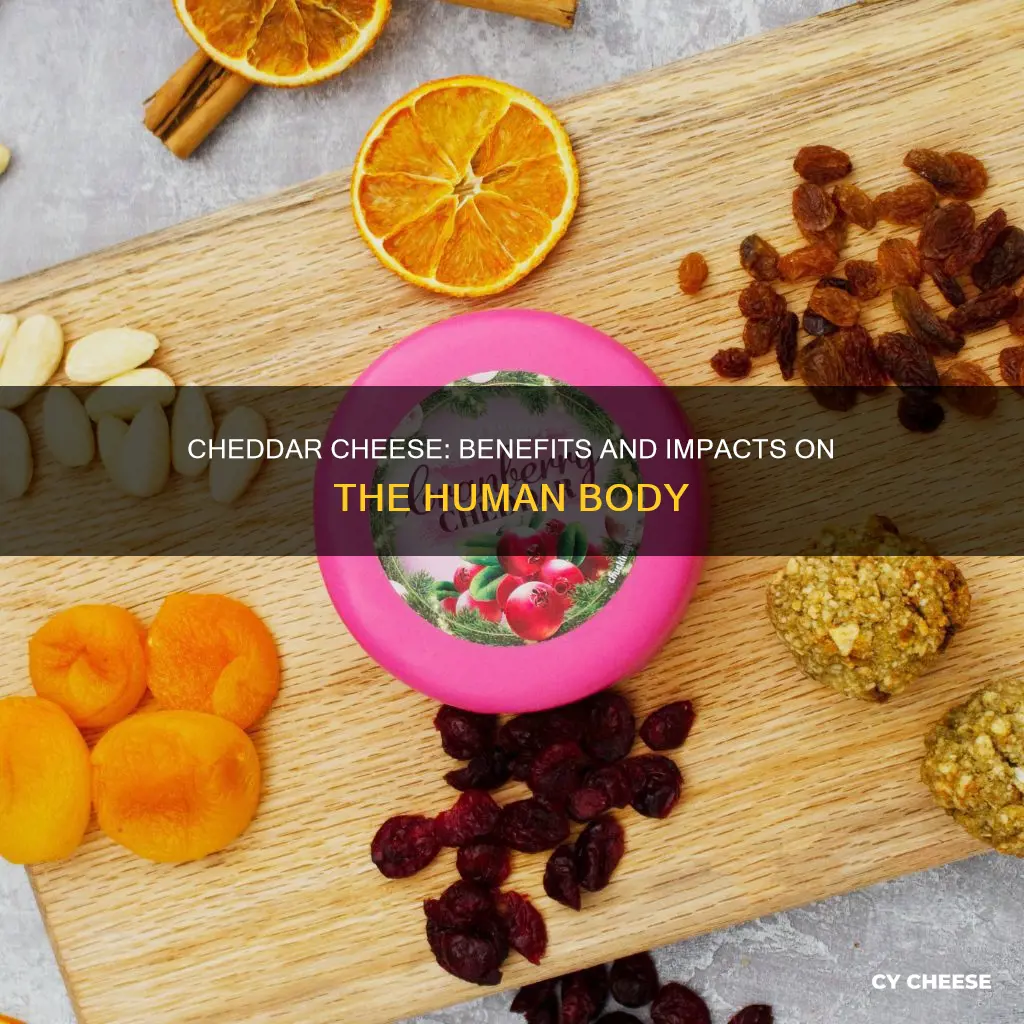 what does cheddar cheese do for the body