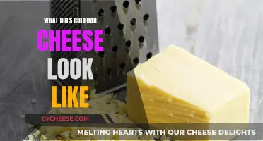 The Visual Guide to Cheddar's Golden, Crumbly Texture