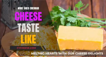 Cheddar Cheese: A Tasty Adventure in Flavor