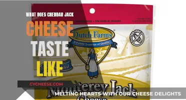 Cheddar Jack Cheese: A Tasty Blend