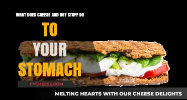 Cheese and Spicy Foods: How They Affect Your Stomach's Health