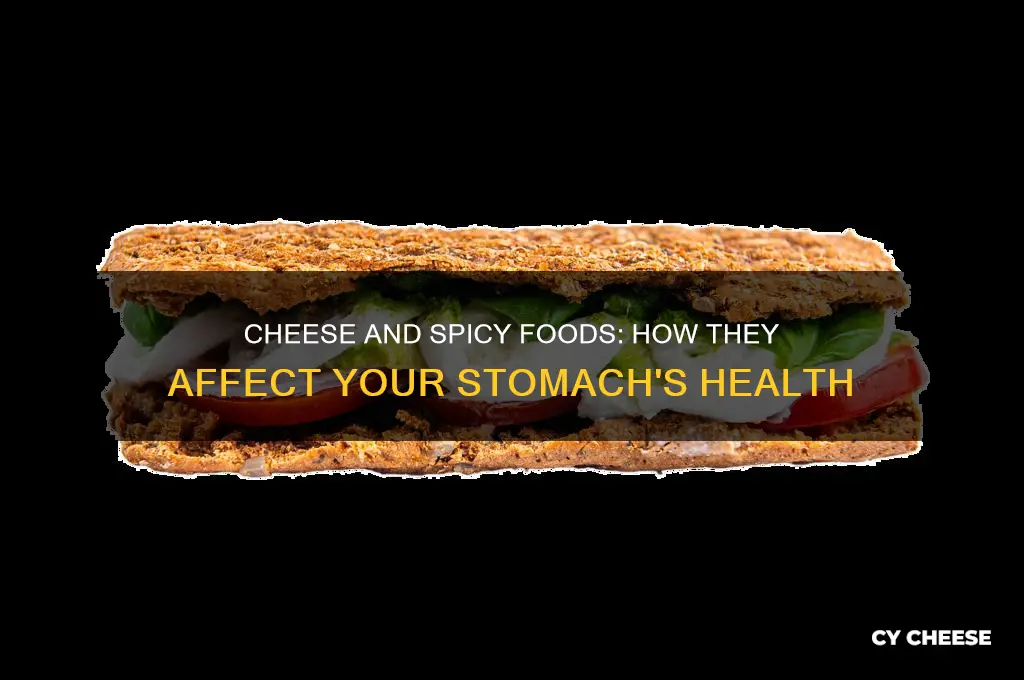 what does cheese and hot stuff do to your stomach