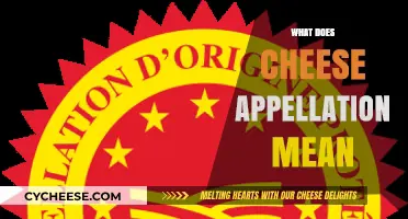 Understanding Cheese Appellation: What It Means and Why It Matters