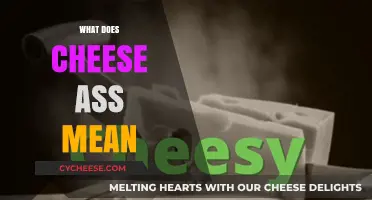 Unraveling the Urban Slang: What Does Cheese Ass Really Mean?