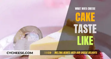Cheesecake Taste Test: Sweet, Creamy, and Dreamy