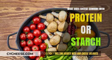 Cheese Pairings: Does Cheese Combine Better with Protein or Starch?