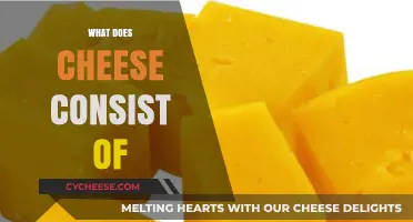 Unveiling Cheese's Composition: Ingredients, Nutrients, and Production Process Explained