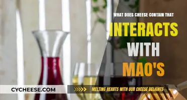 Cheese and MAO Inhibitors: Uncovering the Tyramine Connection