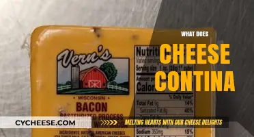 What's Inside Cheese? Uncovering Ingredients, Nutrients, and Flavor Secrets