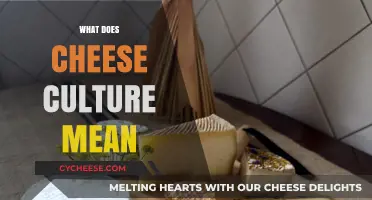 Understanding Cheese Culture: Traditions, Techniques, and Tastes Explained