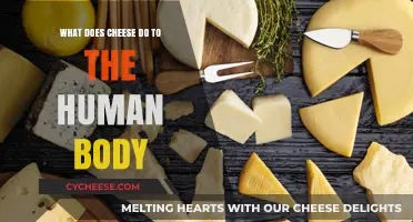 Cheese's Impact: How Dairy Delights Affect Your Body's Health