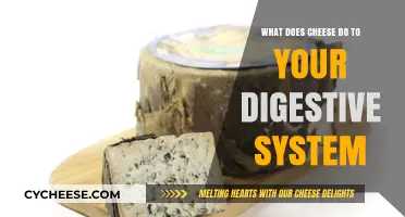 Cheese and Digestion: How Dairy Impacts Your Gut Health
