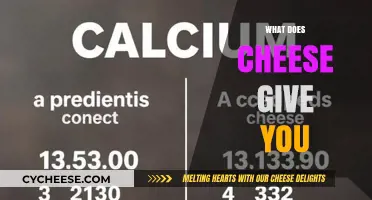 Cheese Benefits: Nutrition, Health Impacts, and Potential Side Effects Explained