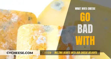 Cheese Pairing: What Not to Eat With Cheese