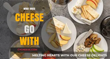 Perfect Pairings: Discover What Cheese Goes With for Delicious Meals