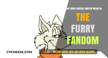 Understanding the Cheese Grater Slang in the Furry Fandom Community