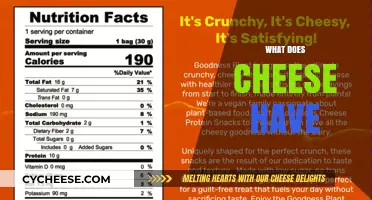 What Does Cheese Have: Nutrients, Flavors, and Surprising Benefits Explained