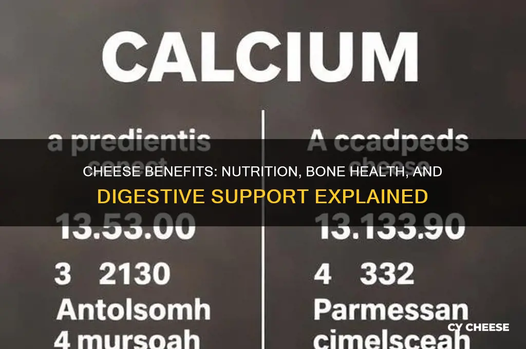 what does cheese help with