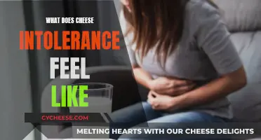 Cheese Intolerance: Symptoms and Their Impact on Your Body