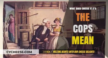 Cheese It! It's the Cops: Decoding the Slang and Its Origins