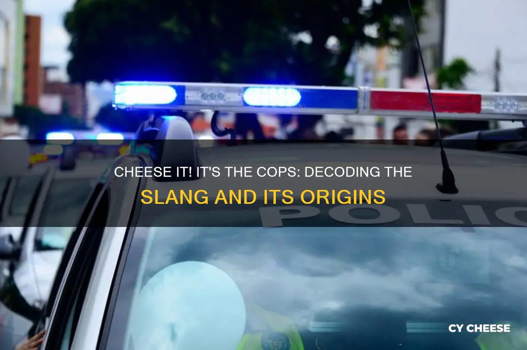 what does cheese it it