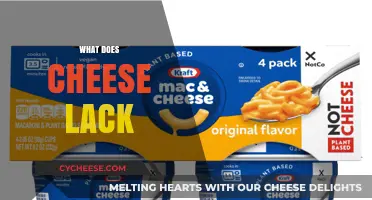 What Does Cheese Lack? Exploring Nutritional Gaps in Dairy's Favorite Food