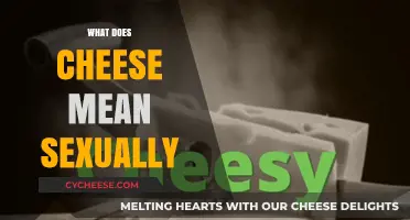 Unraveling the Sexual Slang: What Does 'Cheese' Really Mean?