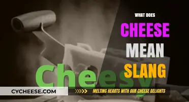 What Does Cheese Mean in Slang? Unraveling the Cheesy Lingo