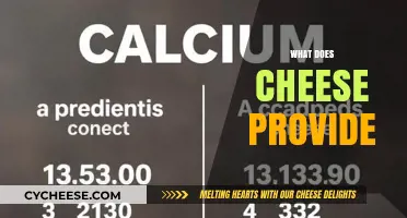 Nutritional Benefits of Cheese: Protein, Calcium, and Healthy Fats Explained