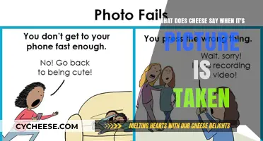 Say Cheese: The Hilarious Secret Language of Cameras and Dairy