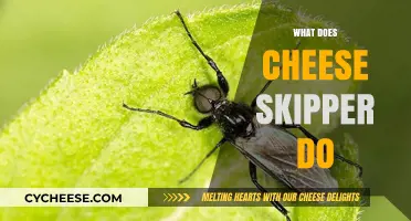 What Does Cheese Skipper Do? Unveiling the Role and Impact
