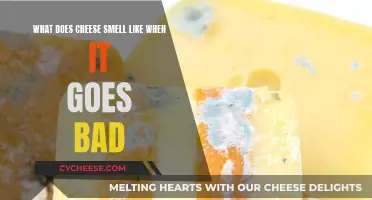 Cheese Gone Bad: What's That Smell?