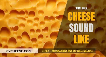 Cheese: The Audible Experience and Science