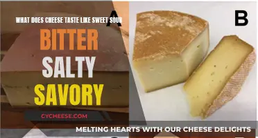 Cheese Sensations: Sweet, Sour, Bitter, Salty, Savory