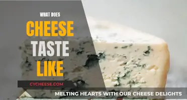 Unraveling Cheese's Complex Taste: A Sensory Adventure