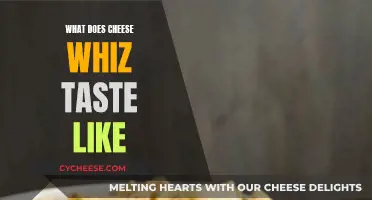 Cheese Whiz: A Tasty, Gooey, and Savory Condiment