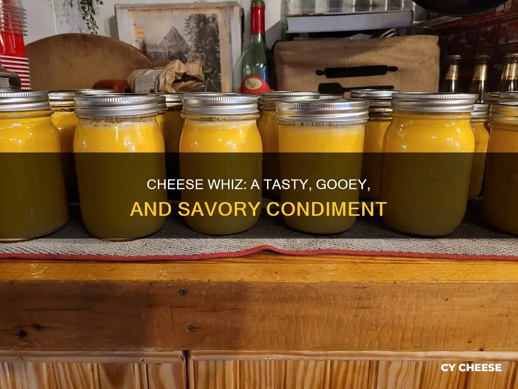 what does cheese whiz taste like