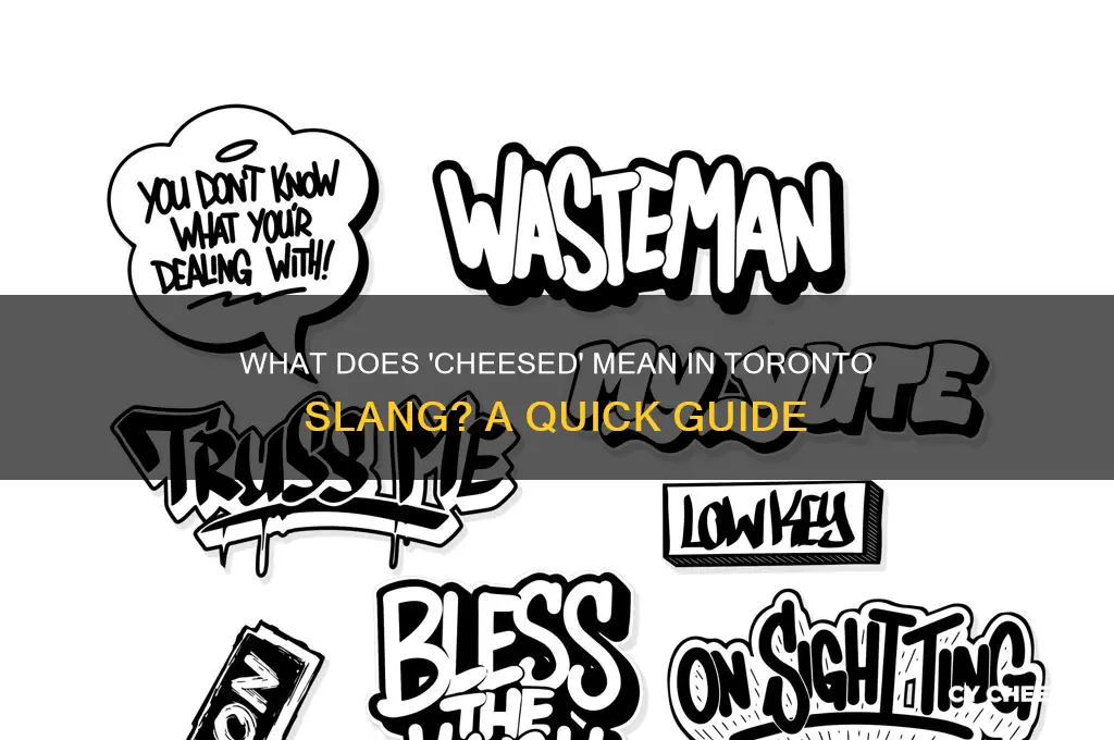 what does cheesed mean toronto