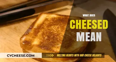 What Does Cheesed Mean? Unraveling the Slang and Its Origins