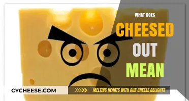 Understanding the Slang: What Does 'Cheesed Out' Really Mean?