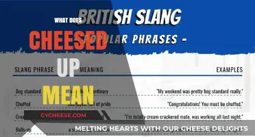 What Does Cheesed Up Mean? Unraveling the Slang and Its Origins
