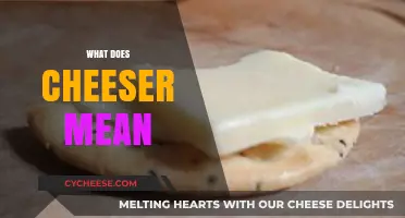 Unraveling the Mystery: What Does Cheeser Really Mean?