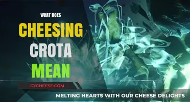 Understanding the Destiny Gaming Slang: What Does Cheesing Crota Mean?